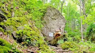 Thumbnail: boulder bro summer