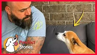 Thumbnail: This Dog Keeps Showing Up at Her Door for One Heartwarming Reason | Pawfect Stories