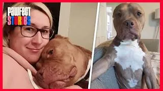 Thumbnail: Woman brings home a dog. But apparently he'd rather be human.