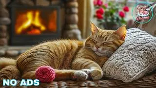 Thumbnail: Cat Calming Music 💤 Cat Relaxing Music - Gentle Piano Harmony For Cats Deep Sleep