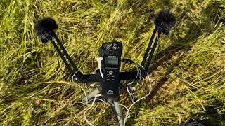 Thumbnail: Backstage 🎬 Recording Birdsong in Forest for My Videos