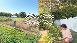 Thumbnail: Slow Living Weekly Vlog ✨ Entre cueillette, papillons et un livre en chemin
