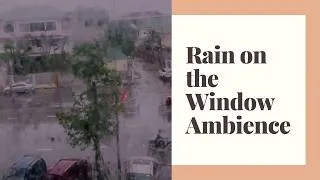 Thumbnail: Rain on the Window Ambience | Relaxing Sounds for Sleep & Calm