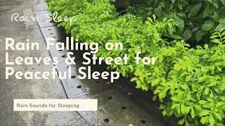 Thumbnail: Soothing Autumn Rain Ambience 🍂 Rain Falling on Leaves & Street for Peaceful Sleep