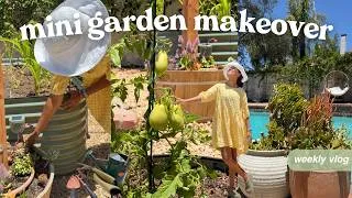 Thumbnail: cozy garden reset 🪴 a mini garden makeover