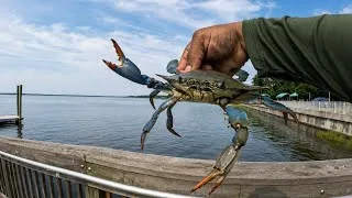 Thumbnail: Another Great Crabbing Day**Catch and Cook**3 Locations 
