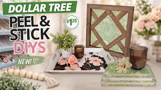 Thumbnail: You Won't Believe These 7 Dollar Tree Wallpaper Hacks 😍