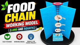 Thumbnail: food chain working model (land and aquatic) for science exhibition - biology project - craftpiller