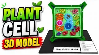 Thumbnail: plant cell 3d model making for science exhibition - diy - craftpiller - creative