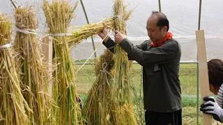 Thumbnail: Why this straw craft takes months to complete | Rare 300-Year-Old Japanese Technique.