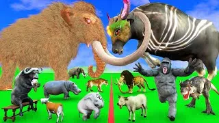 Thumbnail: 5 Giant Mammoth Elephant Cow Vs Giant Indian Bison Vs 5 Giant Lion Tiger Cub Saved By Woolly Mammoth