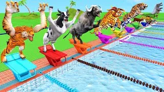 Thumbnail: Swimming Race With Elephant Cow Tiger Gorilla Buffalo Bull Dinosaur Lion Animals Swimming Pool Game
