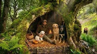 Thumbnail: Secret shelter inside a tree in the wild , surviving bushcraft alone . risky camping , Poor dog