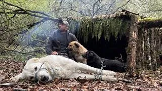 Thumbnail: Autumn bushcraft camp in the forest, saving the life of an unknown dog, building a shelter for four