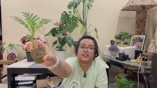 Thumbnail: Don't Kill Your New Plants! Do THIS First When You Bring Plants Home