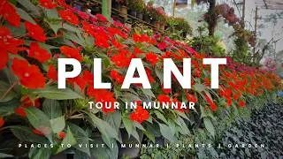 Thumbnail: Experience Munnar Gardens with me!