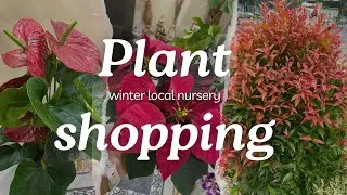 Thumbnail: I Found RARE Plants at This Kolkata Nursery (+ Prices!)