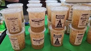Thumbnail: Winchester, Virginia Mid Atlantic Reptile Expo