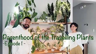 Thumbnail: Meet & Learn from Her Plant Stories + Houseplant Collection Tour