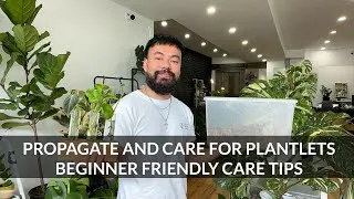 Thumbnail: How To Propagate Houseplants & Care For Plantlets | Beginner Friendly Tips