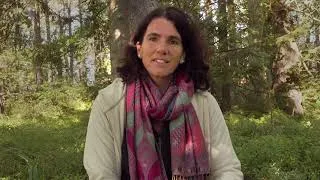 Thumbnail: Sandra Neff – Letting Go, Acceptance & Love
