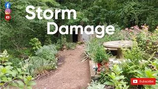 Thumbnail: Garden tour: After the storm