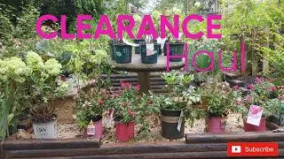 Thumbnail: Small garden harvest and Clearance Haul