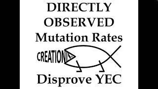 Thumbnail: Directly Observed Mutation Rates Disprove Young Earth Creationism