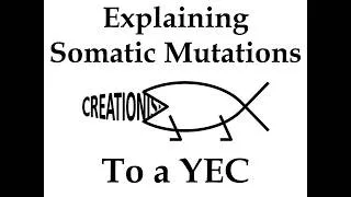 Thumbnail: Explaining Somatic Mutations to a Young Earth Creationist
