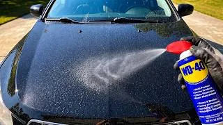Thumbnail: Spray WD-40 on Bonnet and the result will blow your mind😱 If only I had known about this earlier!