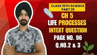 Thumbnail: Oxygenated Blood & Plant Transport System | Class 10 Q2-3 #Science