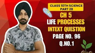 Thumbnail: Transport System in Humans | Intext Q1 Life Processes Class 10 #CBSE