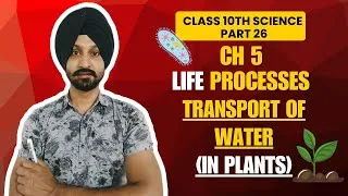 Thumbnail: Transport of Water in Plants | Xylem, Root Pressure & Transpiration #LifeProcess