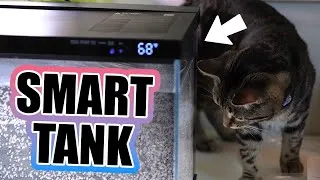 Thumbnail: Betta Aquarium of the FUTURE | Wonder Factory S1