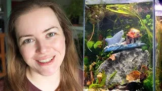 Thumbnail: Lets set up a desk aquarium for my dad 🩵 V2 Vista Cube