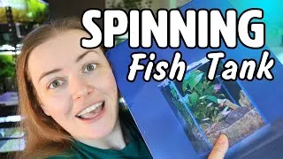 Thumbnail: This BETTA tank SPINS 😲 V2 Vista Cube Unboxing