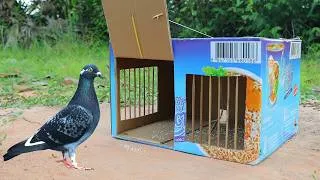 Thumbnail: Easy Making Pigeon Trap From Cardboard Box - Simple Quick Bird Trap
