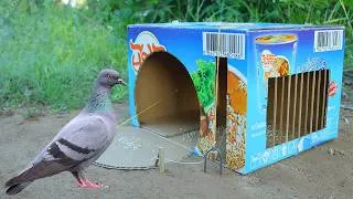 Thumbnail: Quick Pigeon Trap - Creative Unique Bird Trap From Cardboard Box