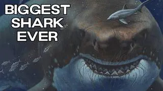 Thumbnail: The Ninety Foot Reality of Megalodon