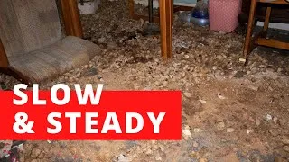 Thumbnail: Slow and Steady Wins the Race