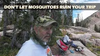 Thumbnail: How to prepare for mosquitoes on your next backpacking trip | Tips & Recommendations