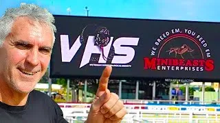 Thumbnail: LARGEST Reptile Expo in Australia!
