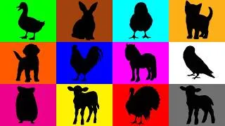 Thumbnail: Guess The Animal: Puppy, Kitten, Rabbit, Chick, Pony, Duck, Hamster, Lovebird, Lamb, Calf, Rooster