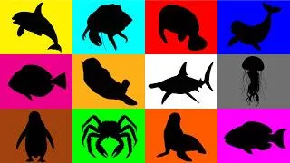 Thumbnail: Guess The Animal: Orca, Penguin, Sea Otter, Beluga Whale, Hammerhead Shark, Sea Lion, Blue Tang