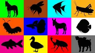 Thumbnail: Guess The Animal: Horse, Duck, Pig, Caterpillar, Bumblebee, Koi Fish, Guppy, Donkey, Grasshopper