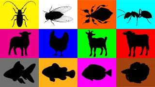 Thumbnail: Guess The Animal Clownfish, Chicken, Ant, Cow, Blue Tang, Leaf Insect, Goat, Betta Fish, Cicada