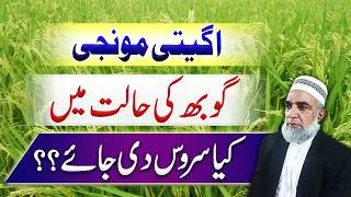 Thumbnail: What service should be given to Rice crop at booting stage || Crop Reformer