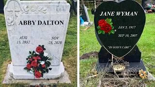 Thumbnail: "FALCON CREST" Actors Cause Of Death And GRAVE