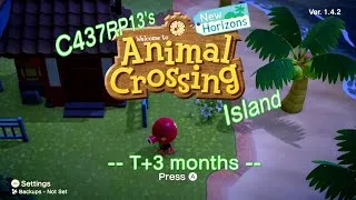 Thumbnail: My Animal Crossing: New Horizons Island (3 months)