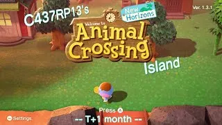 Thumbnail: My Animal Crossing: New Horizons Island (1 month)